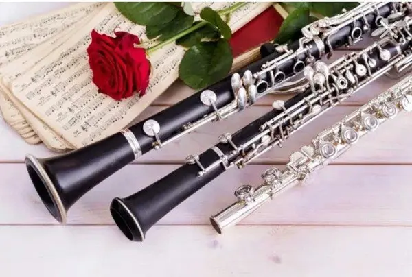 Cantabile — Межшкольный концерт юных исполнителей на духовых инструментах