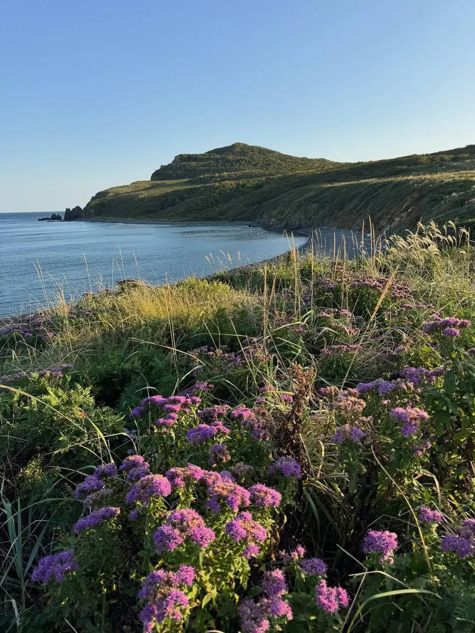 Ихтё поездка яхтенные путешествия: Черное Нечто