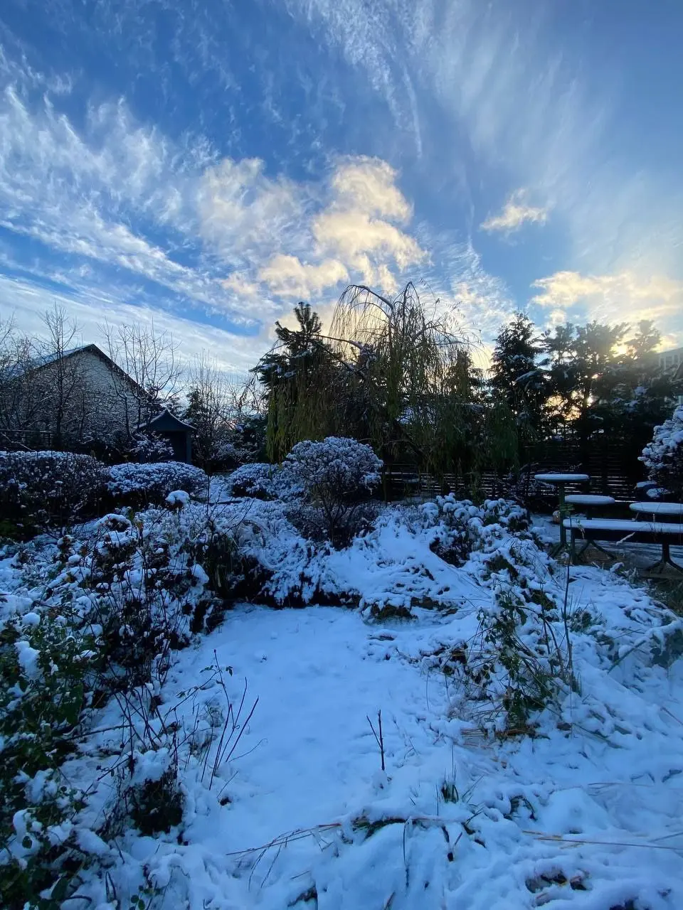 День яблок в Растусе