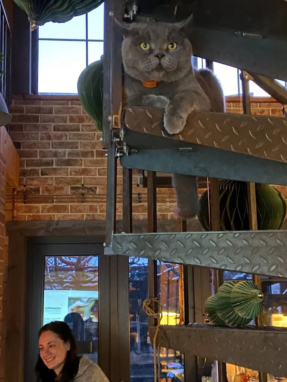 День яблок в Растусе