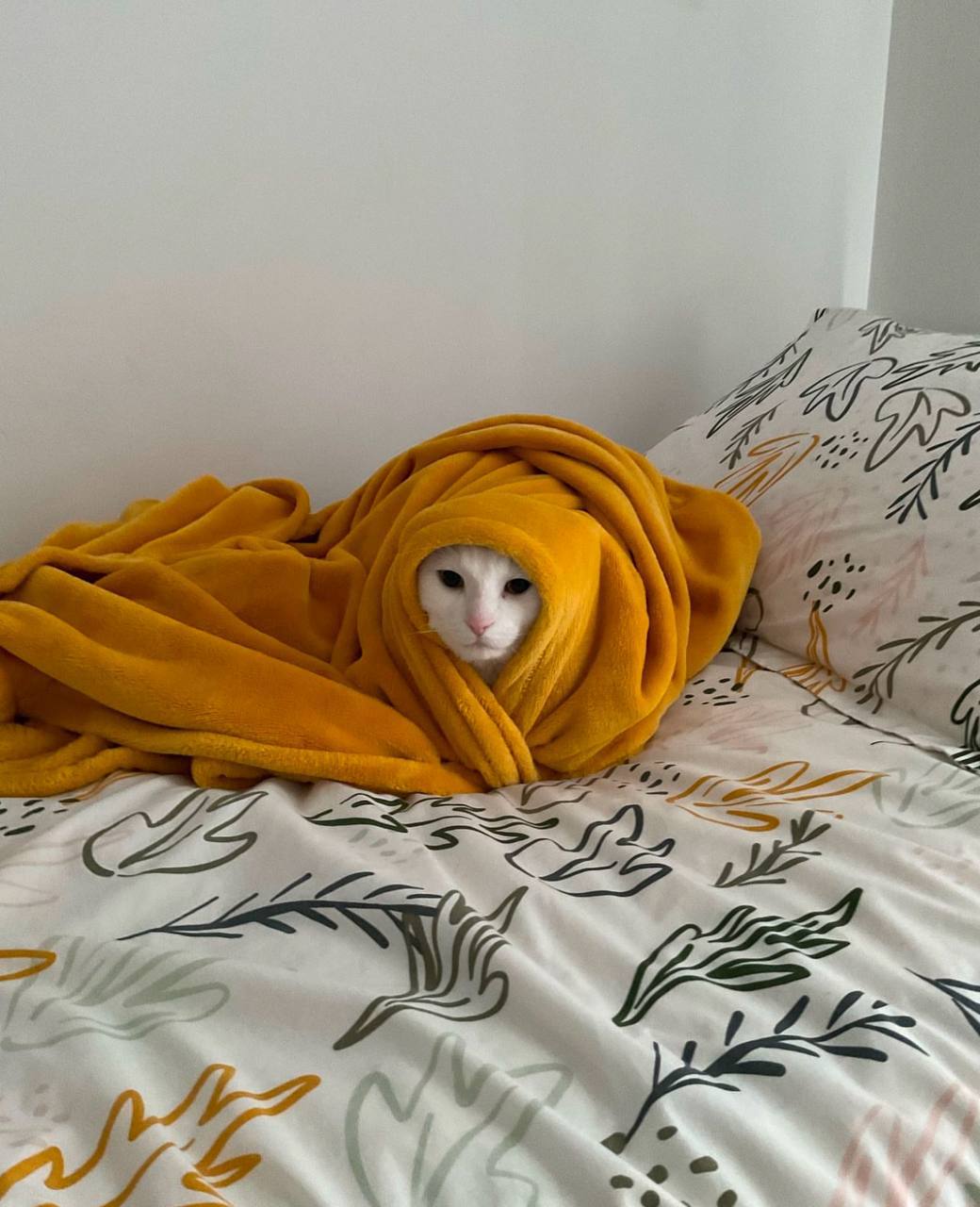 Обнимашки в повязках