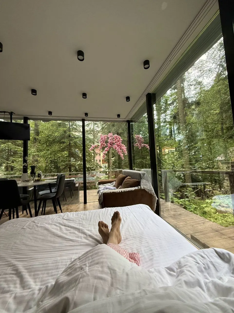 Ближайшие свободные даты в ЕДИНСТВЕННЫЙ СТЕКЛЯННЫЙ ДОМИК в Домбае в лесу