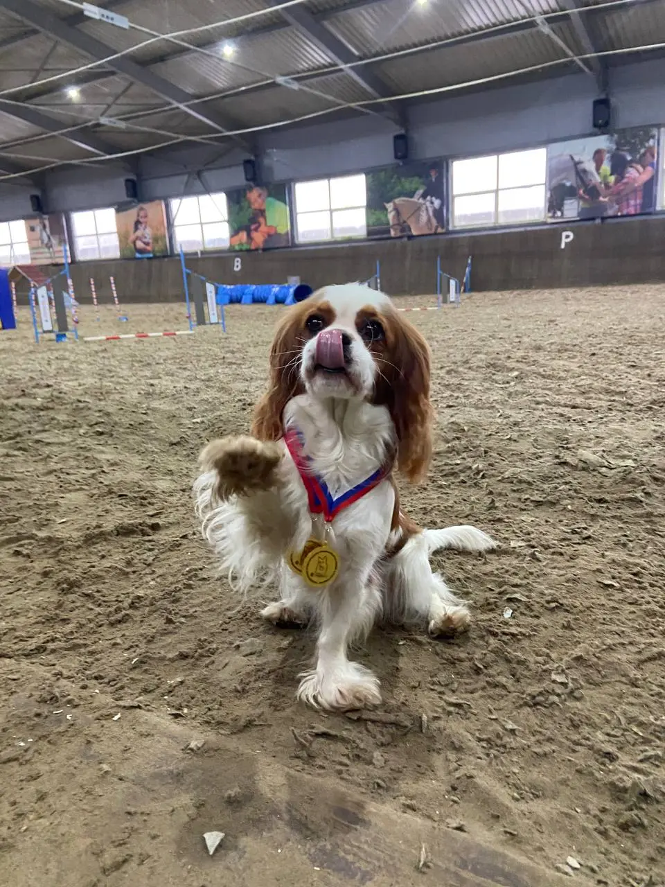 Вспомним немного 30 ноября