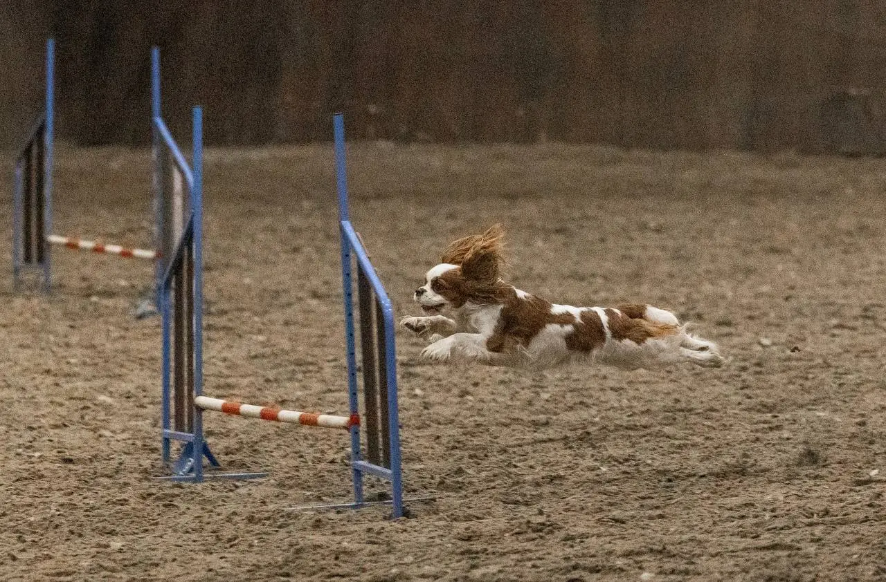 Вспомним немного 30 ноября
