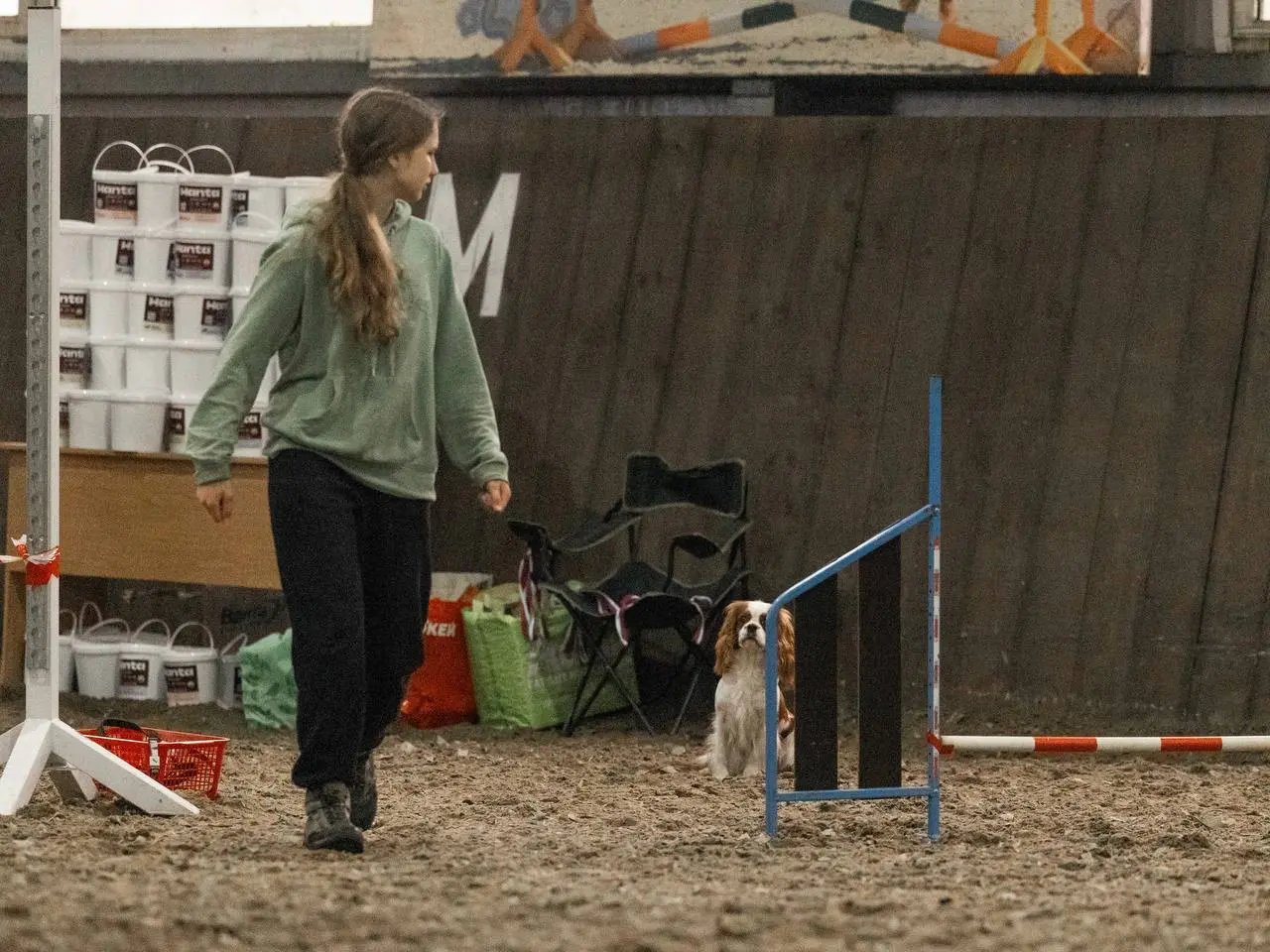 Вспомним немного 30 ноября