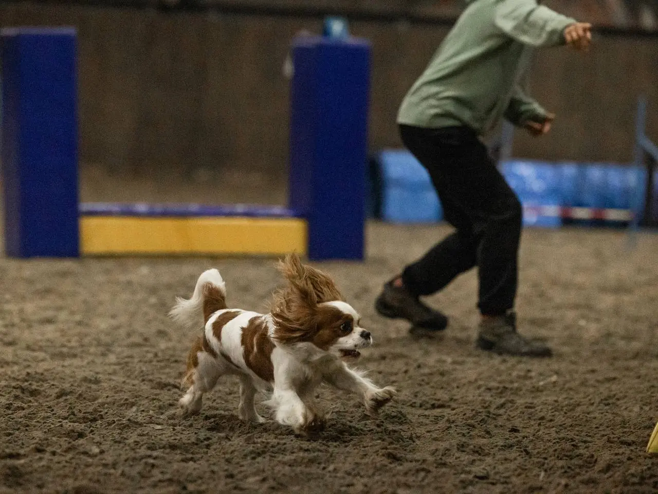 Вспомним немного 30 ноября