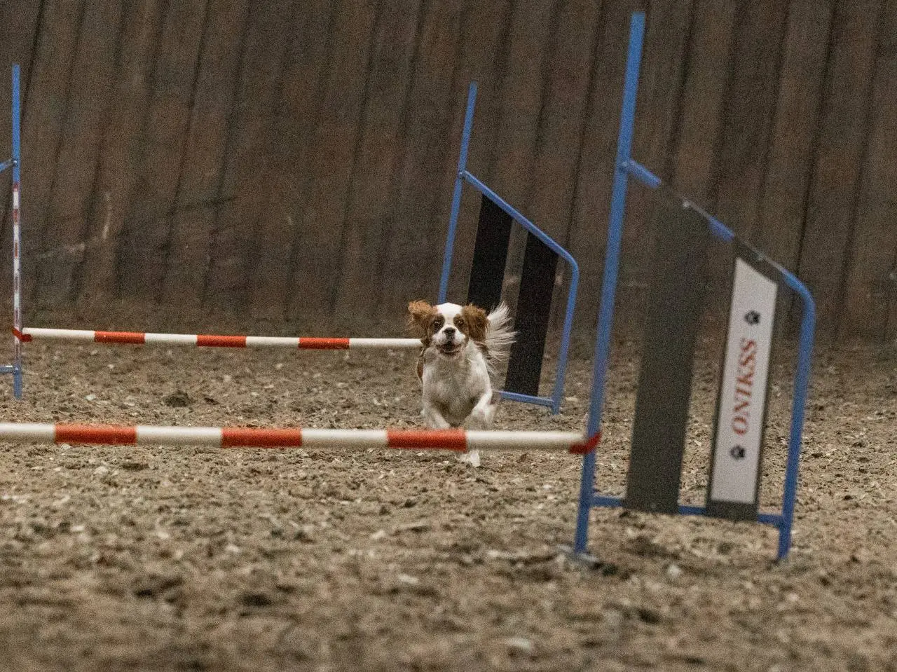 Вспомним немного 30 ноября