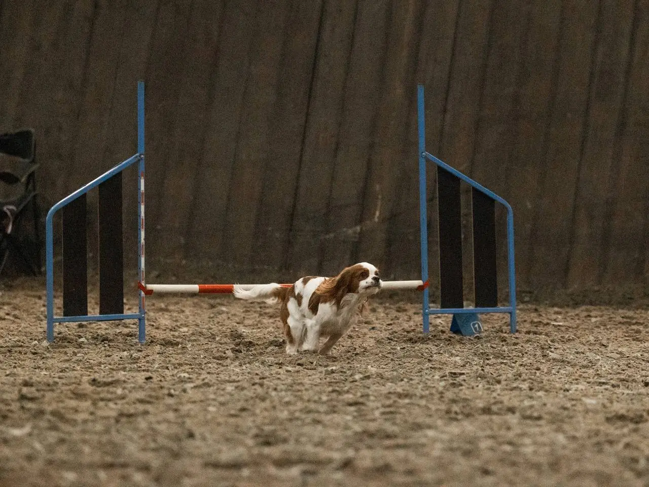 Вспомним немного 30 ноября