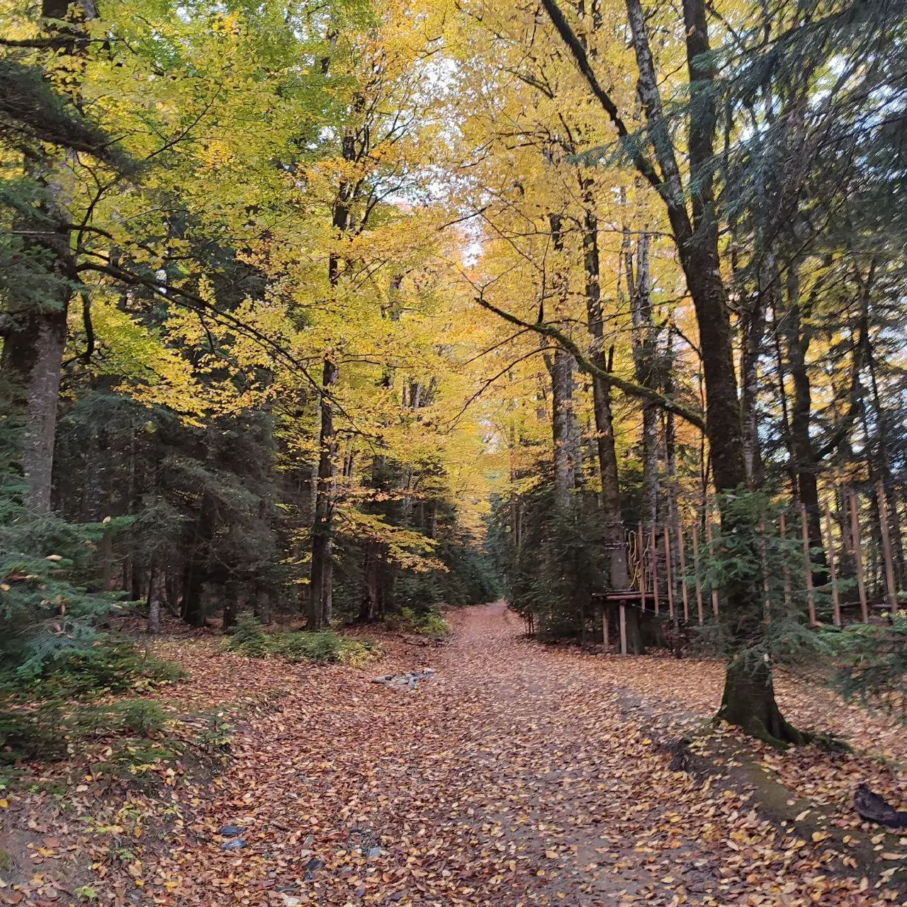 Гузерипль+Лаго-Наки+Термальные источники