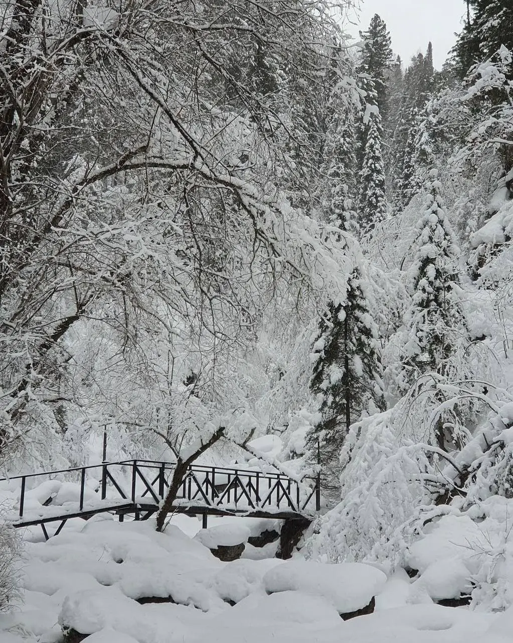 Красота в Артыбаше, Алтай