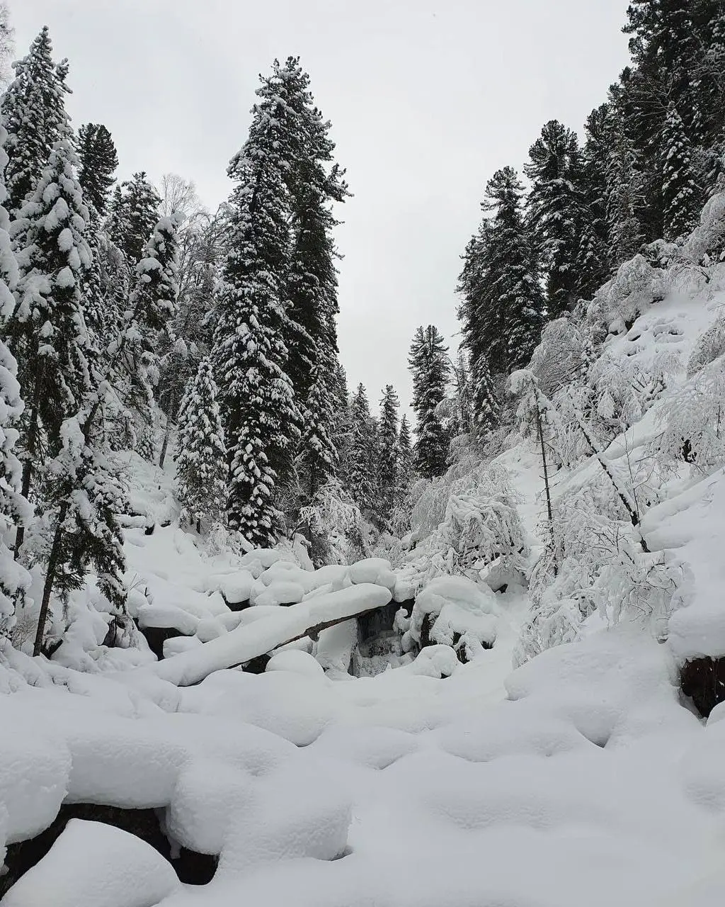 Красота в Артыбаше, Алтай