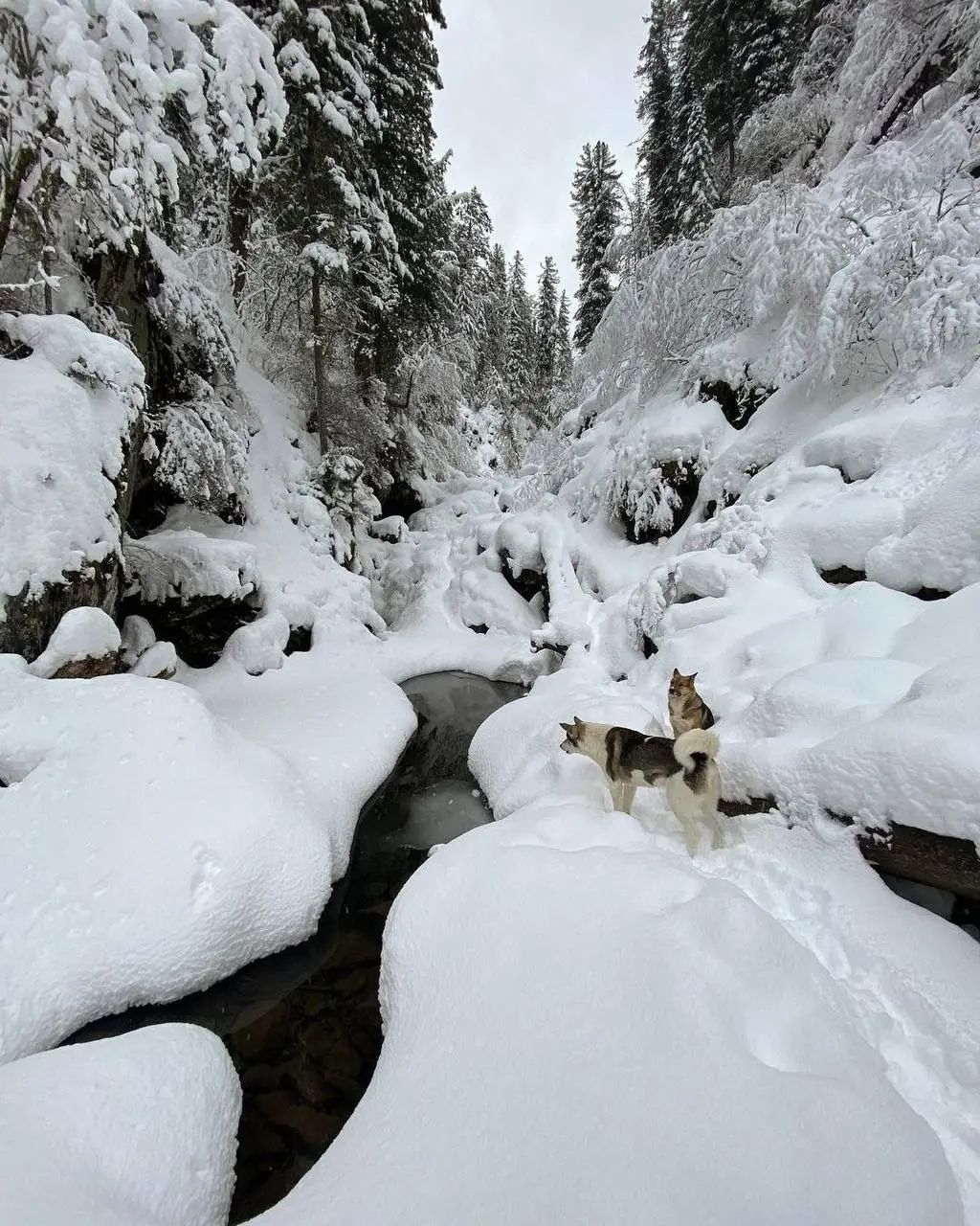 Красота в Артыбаше, Алтай