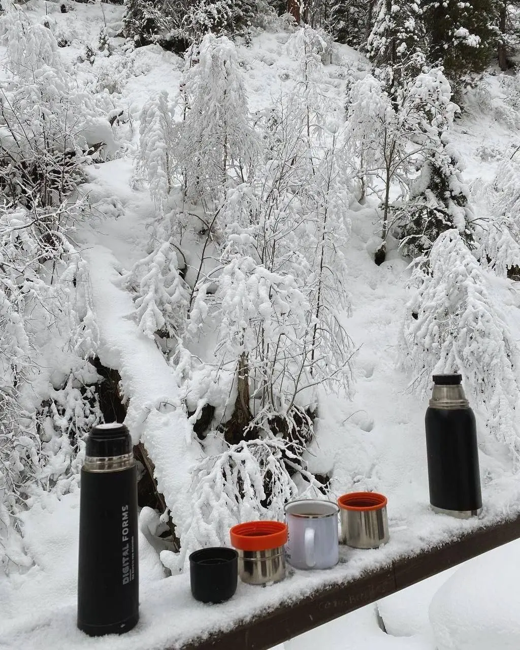 Красота в Артыбаше, Алтай