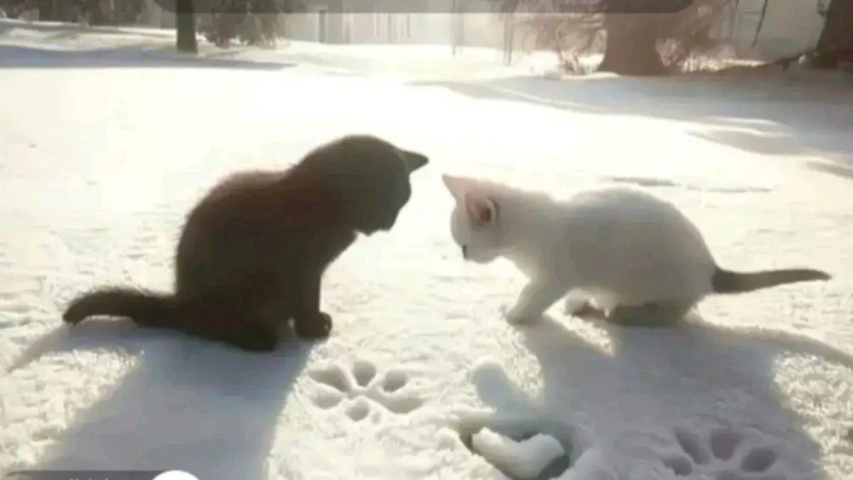 НОВОГОДНИЙ «СЛОМАННЫЙ ПЛАНШЕТ» ОТ СЛИПОНА