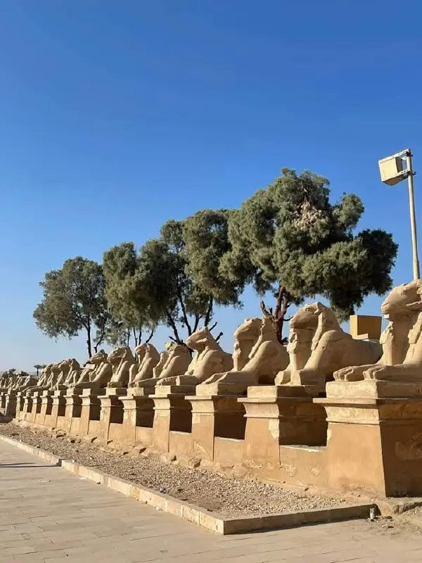 КРУИЗ ПО НИЛУ + НЕСТАНДАРТНЫЙ ЛУКСОР