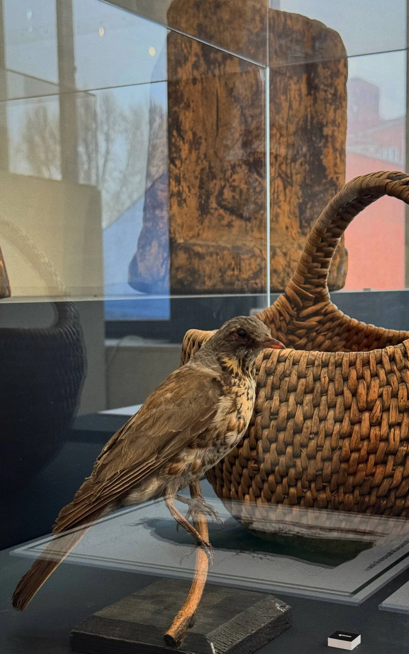 Монтаж выставки «Сущности. Мифология самарских народов»