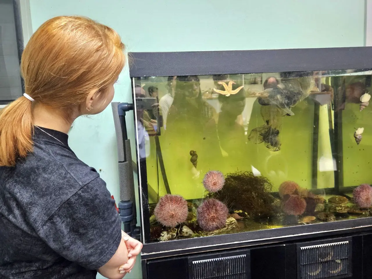 Посещение студентов Мурманской области университетами ИТМО и МАУ