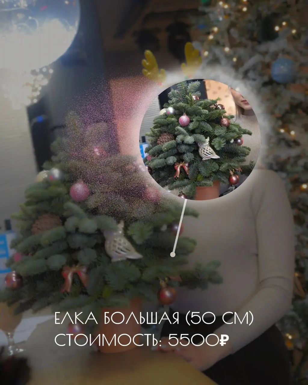 Новогодние композиции из нобилиса