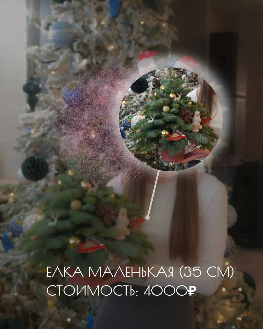 Новогодние композиции из нобилиса