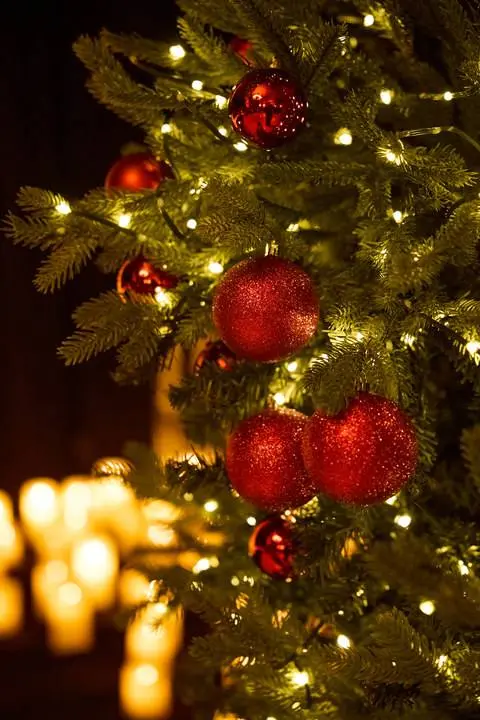 Волшебный свет Рождества