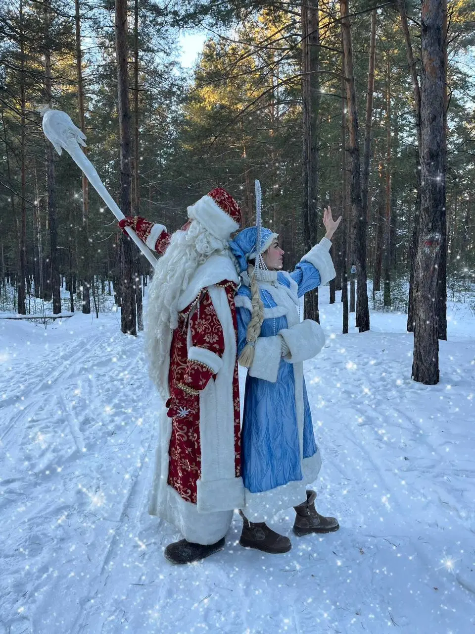 Новогоднее приключение в сказочном лесу