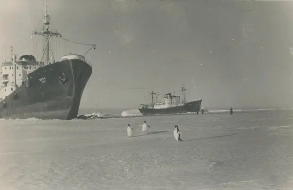 К берегам Антарктиды