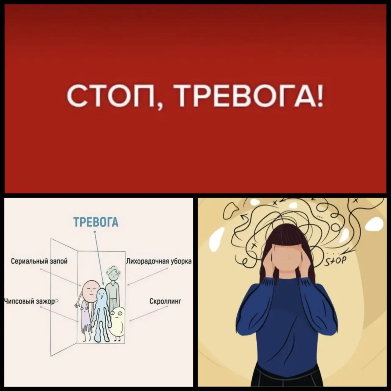 Из Тревоги в Спокойствие