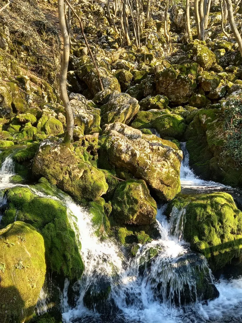 Восточная Сербия: Ресавская пещера, крепость Манасия, водопад Великий Бук