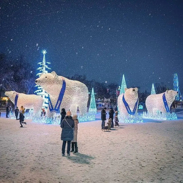 Легендарные белые мишки приезжают в Тюмень