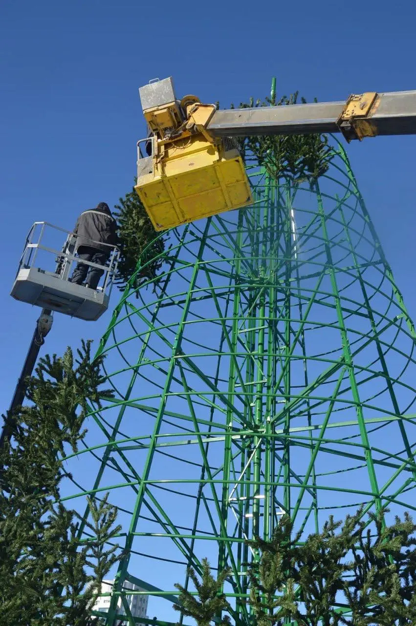 Главную ёлку Хабаровского края собирают из 1,5 тысяч веток