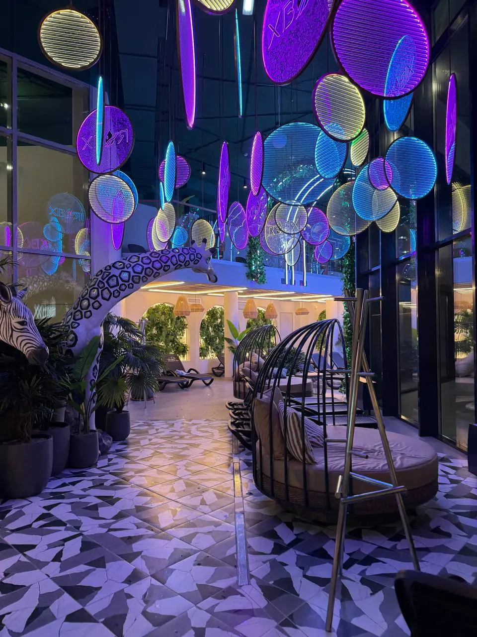 Фитнес термы Хвоя СИТИ открытие