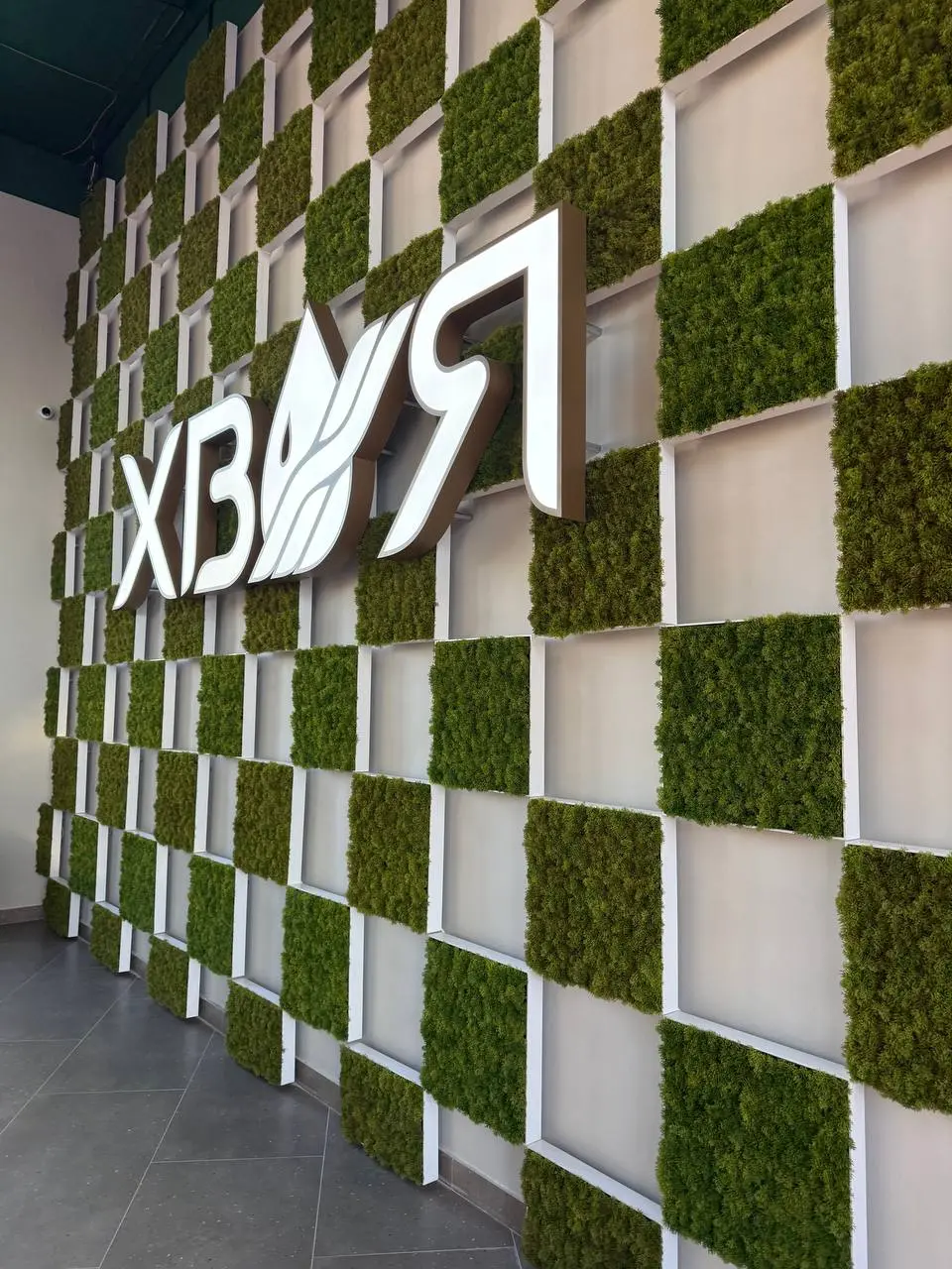 Фитнес термы Хвоя СИТИ открытие