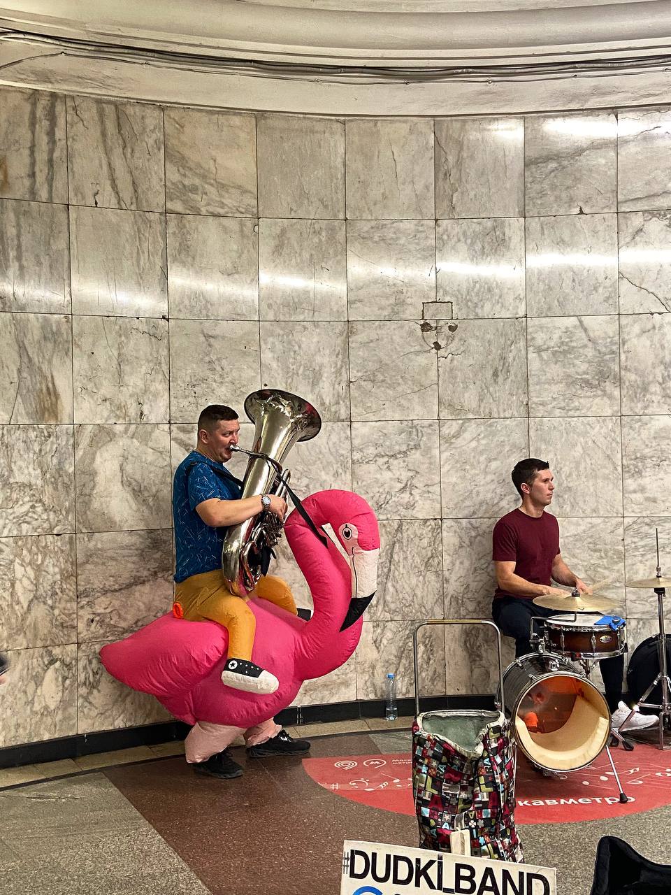 Музыка от фламинго, динозавра и улитки