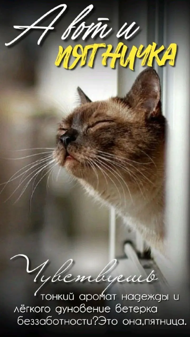 #КодинскLIVE в MAX