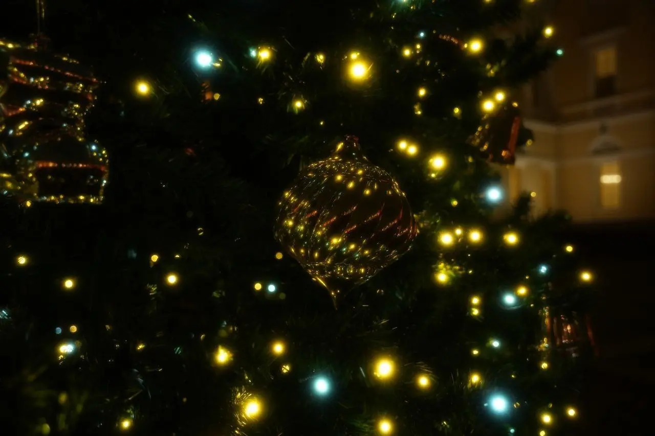 Первая в городе новогодняя елка зажглась курдонёре Михайловского дворца Русского музея