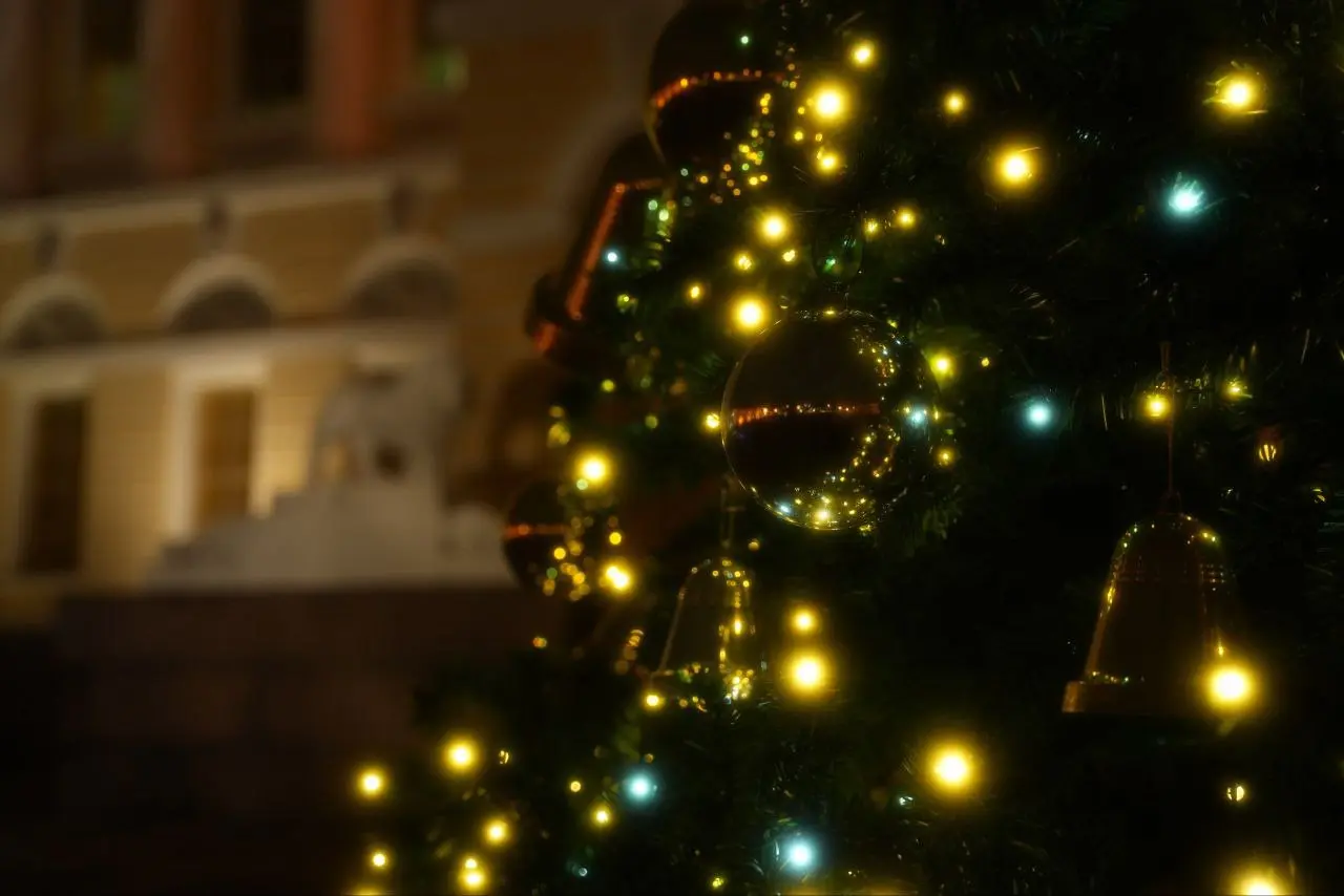 Первая в городе новогодняя елка зажглась курдонёре Михайловского дворца Русского музея