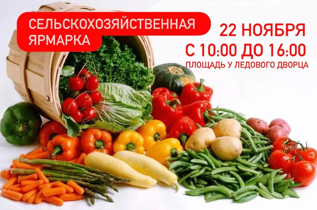 Осенняя ярмарка в Нефтекамске