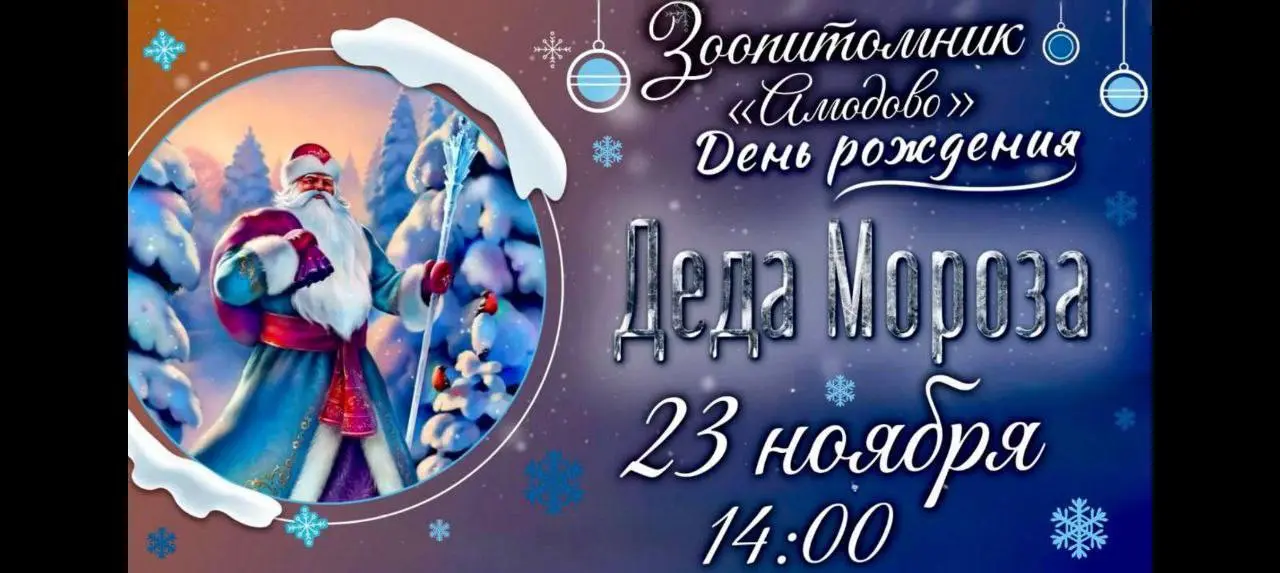 Дед Мороз зовет на свой День рождения