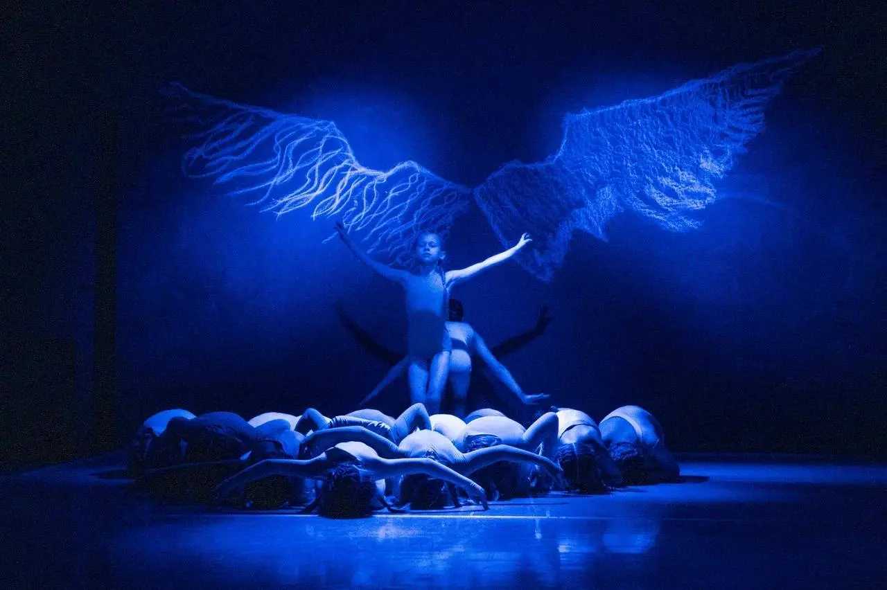 Чайка по имени Джонатан