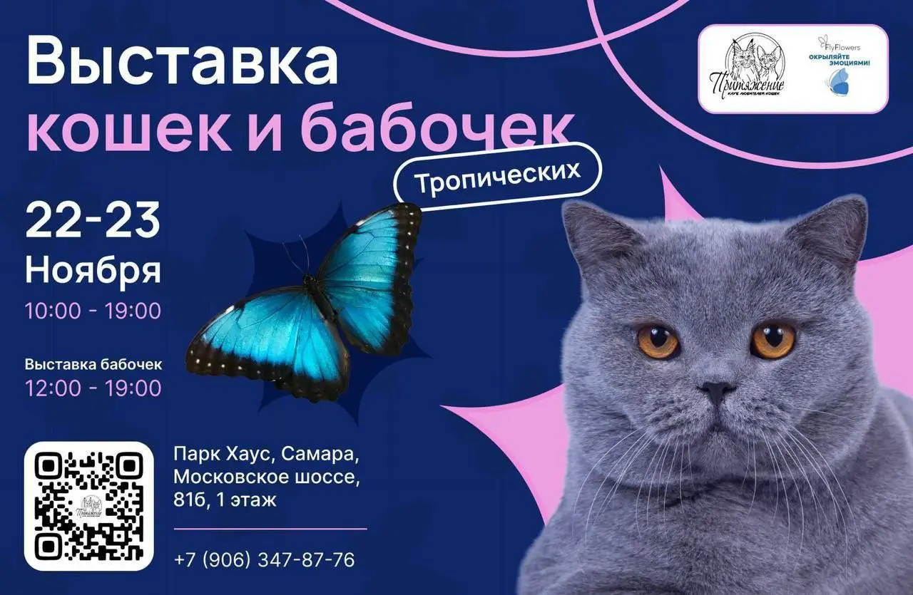 Выставка-продажа породистых кошек и котят и бабочек