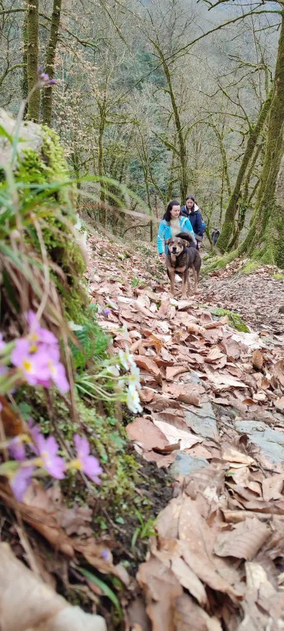 ВОДОПАДЫ НА РЕКЕ АЖЕК