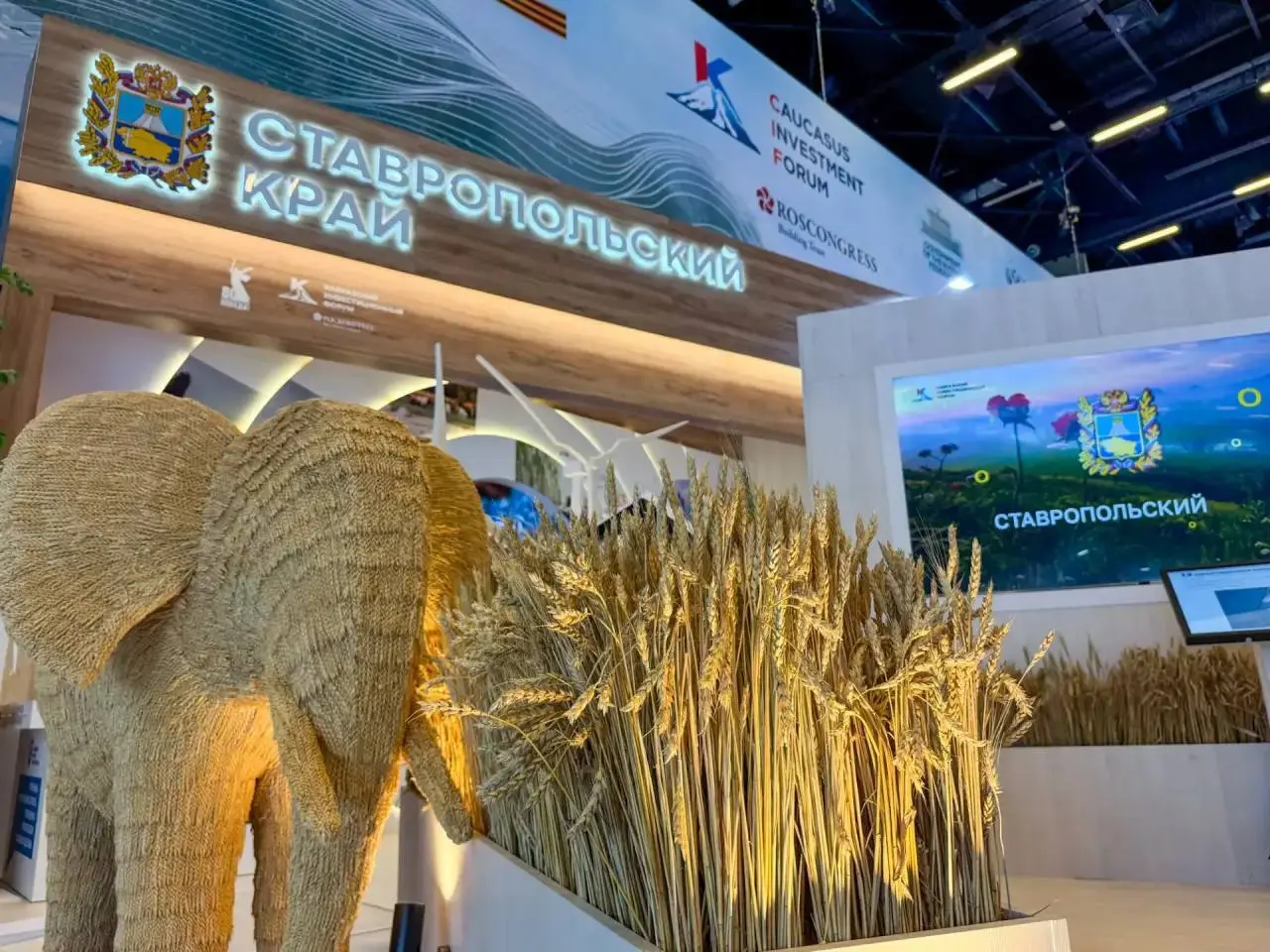 Кавказский инвестиционный форум