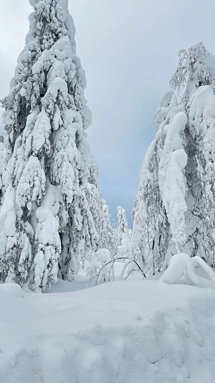 Пермский край зимой: поездка на снегоходах по Перми и краю