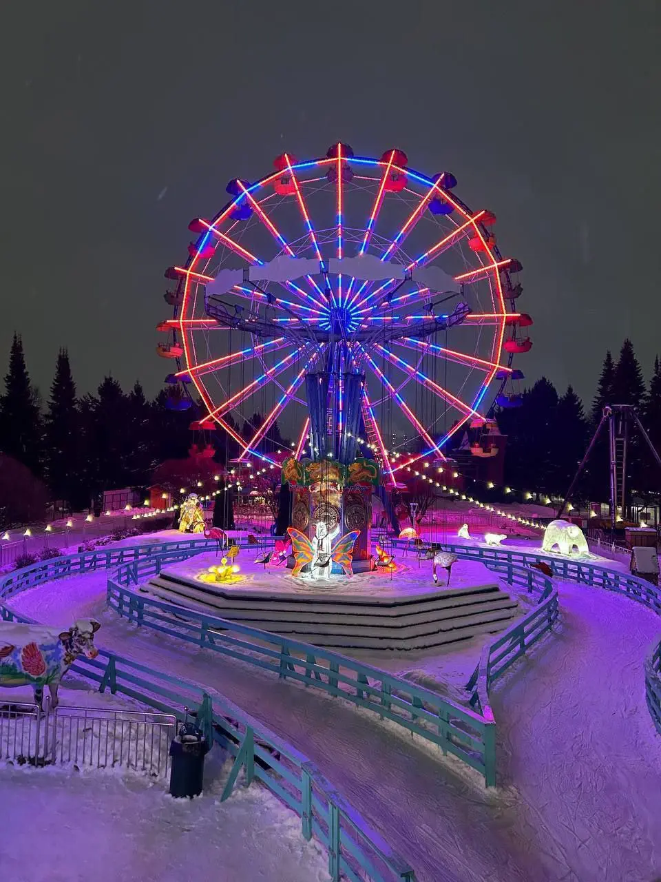 Каток с колесом обозрения открылся в Южно-Приморском парке