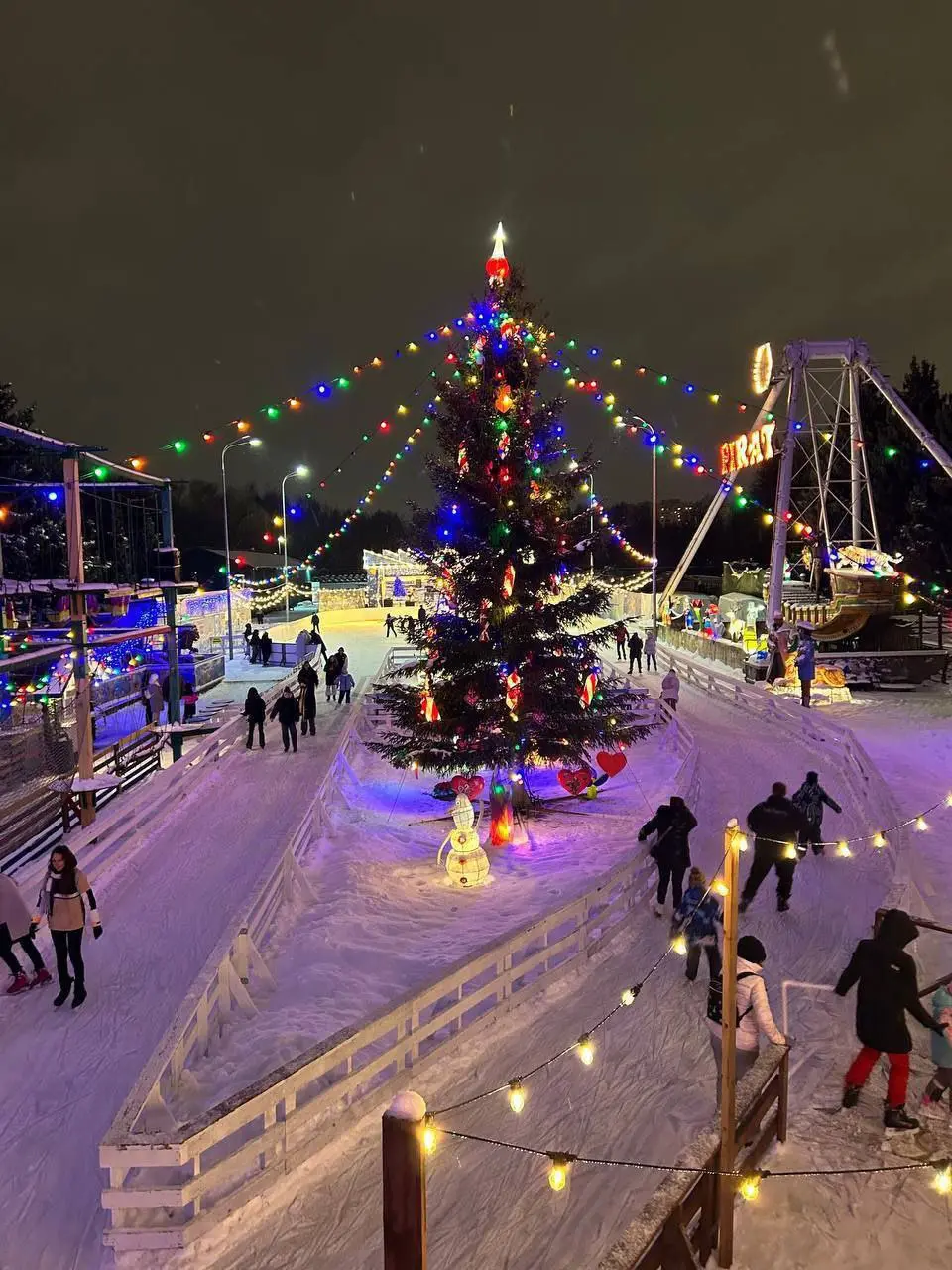 Каток с колесом обозрения открылся в Южно-Приморском парке
