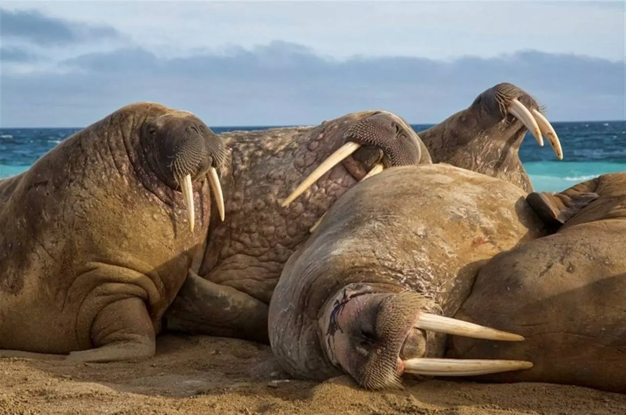 Доброе утро, Нижний Новгород!