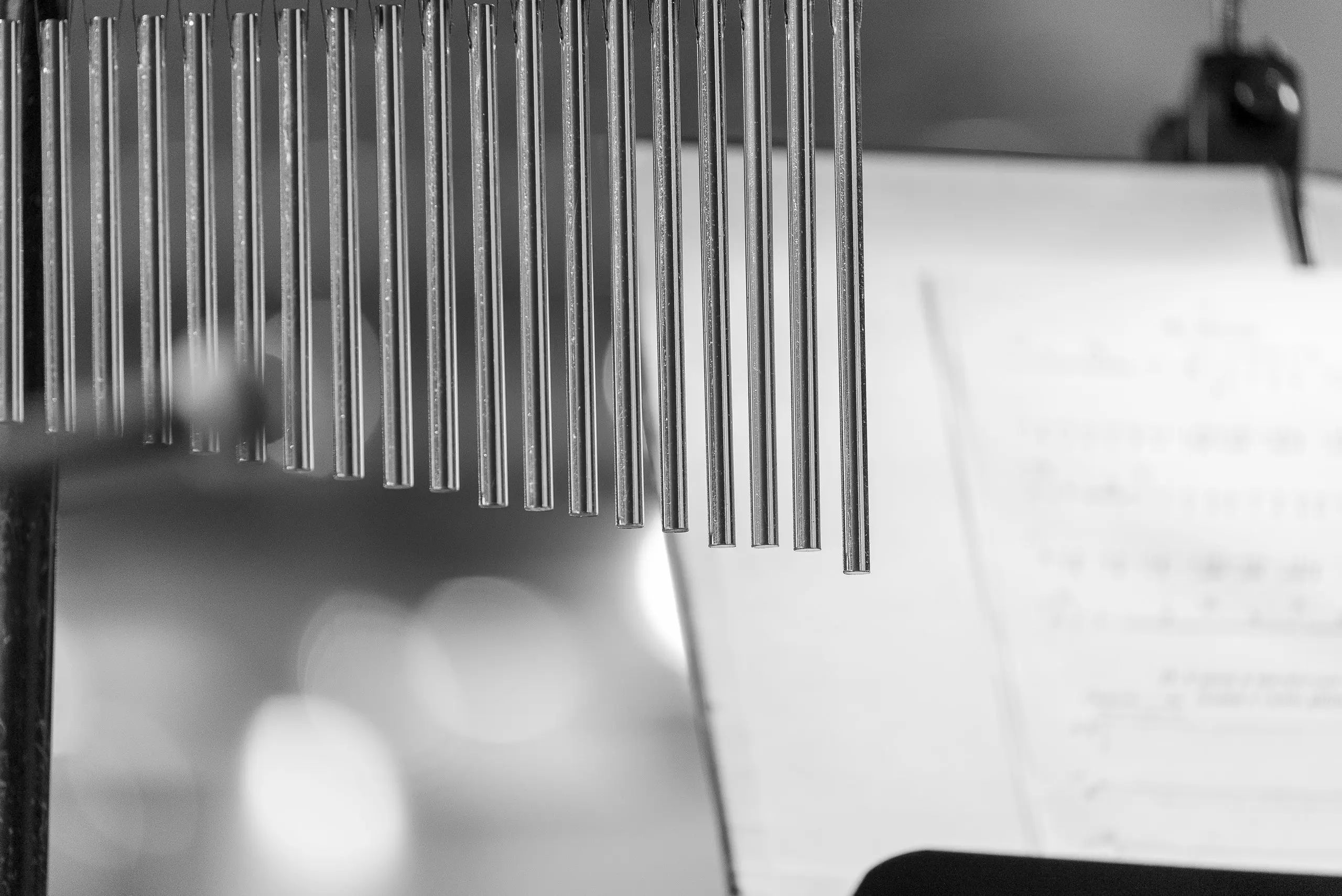 Концерт «Музыка южных широт»