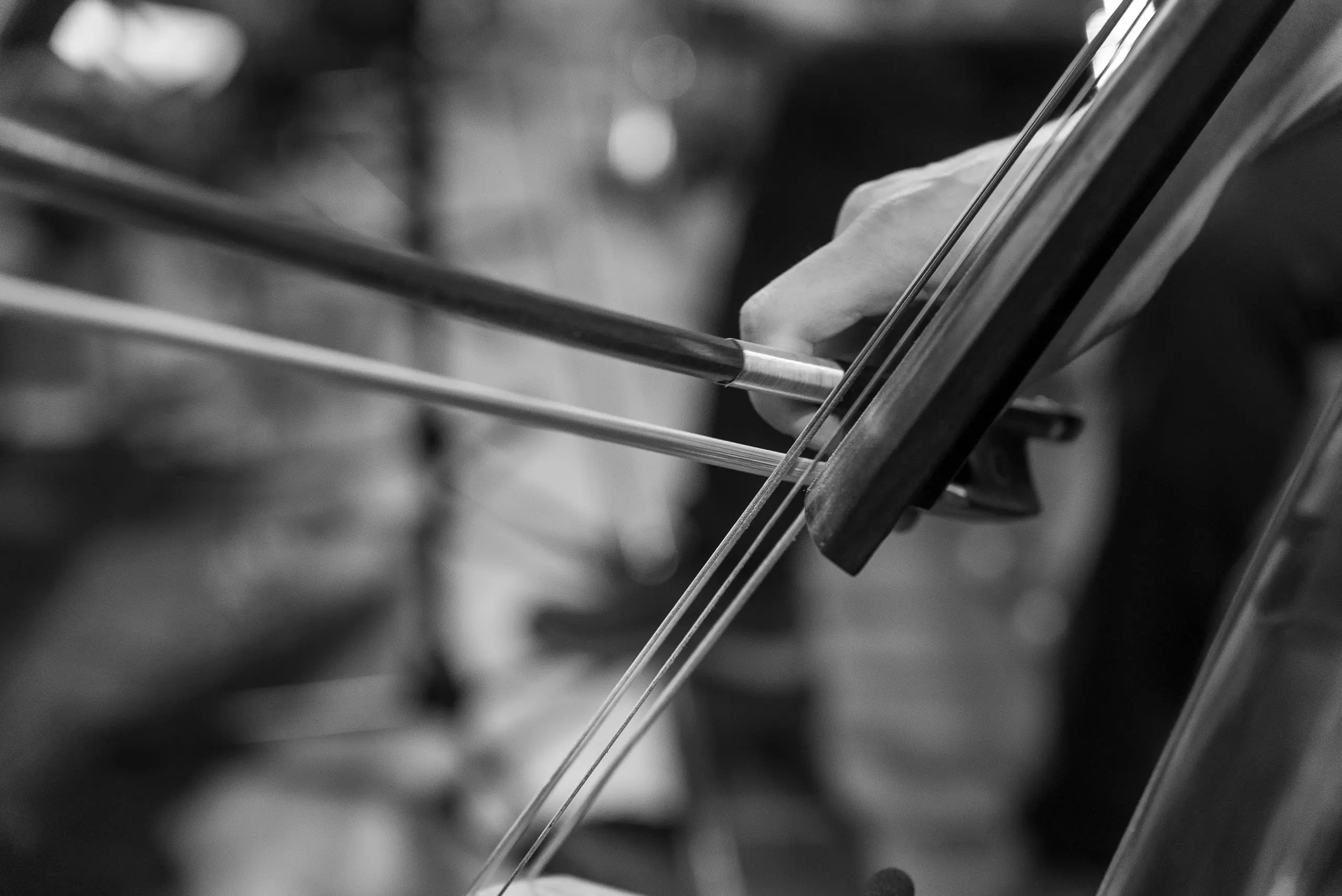 Концерт «Музыка южных широт»