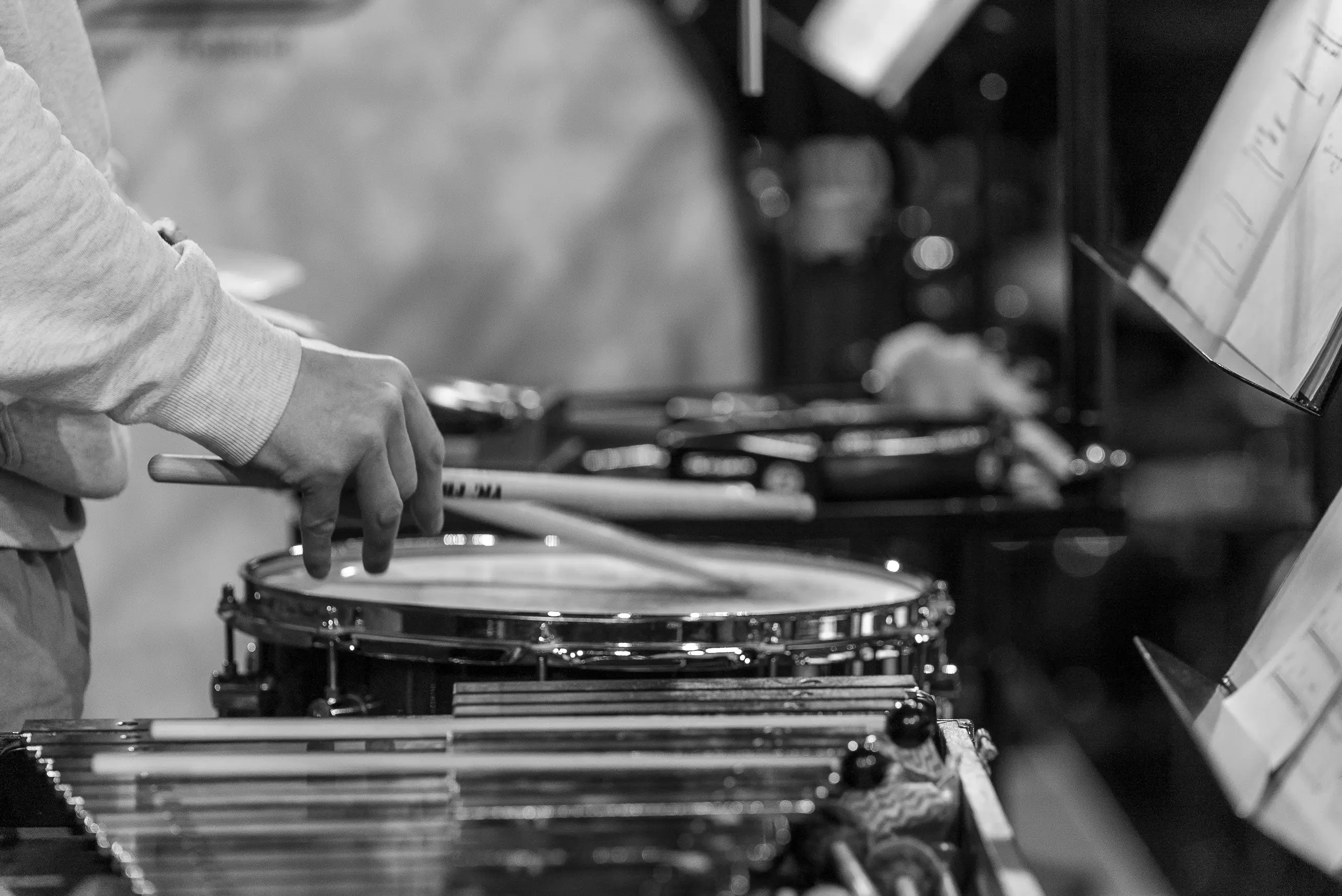 Концерт «Музыка южных широт»