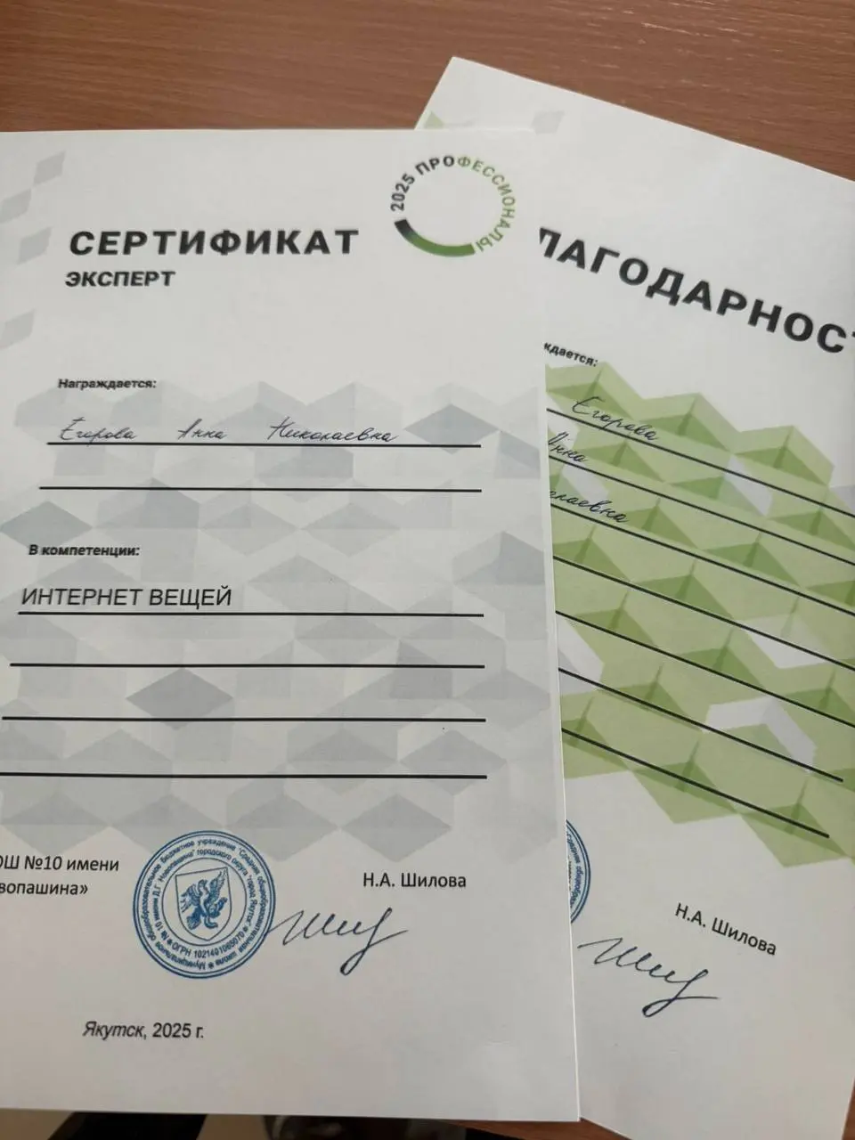 Профессионалы (Юниоры) – муниципальный этап чемпионата по профессиональному мастерству